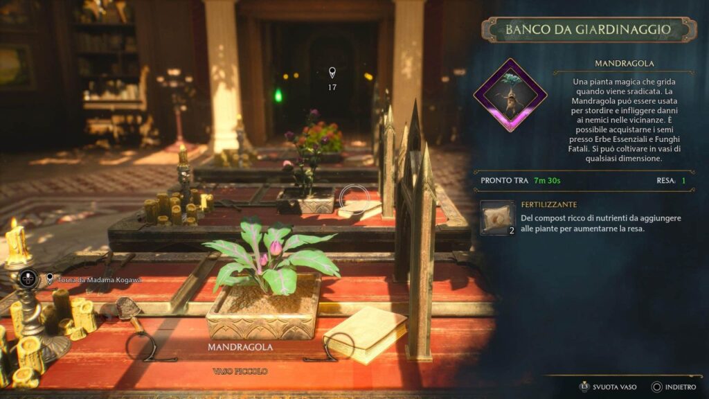 La coltivazione della Mandragola in un vaso piccolo su Hogwarts Legacy, come ottenerla in modo semplice sul videogioco