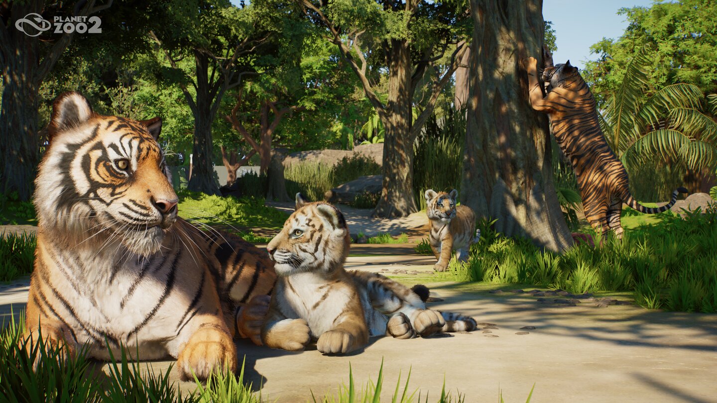 Planet Zoo 2, una tigre adulta e un cucciolo riposano in un habitat boschivo